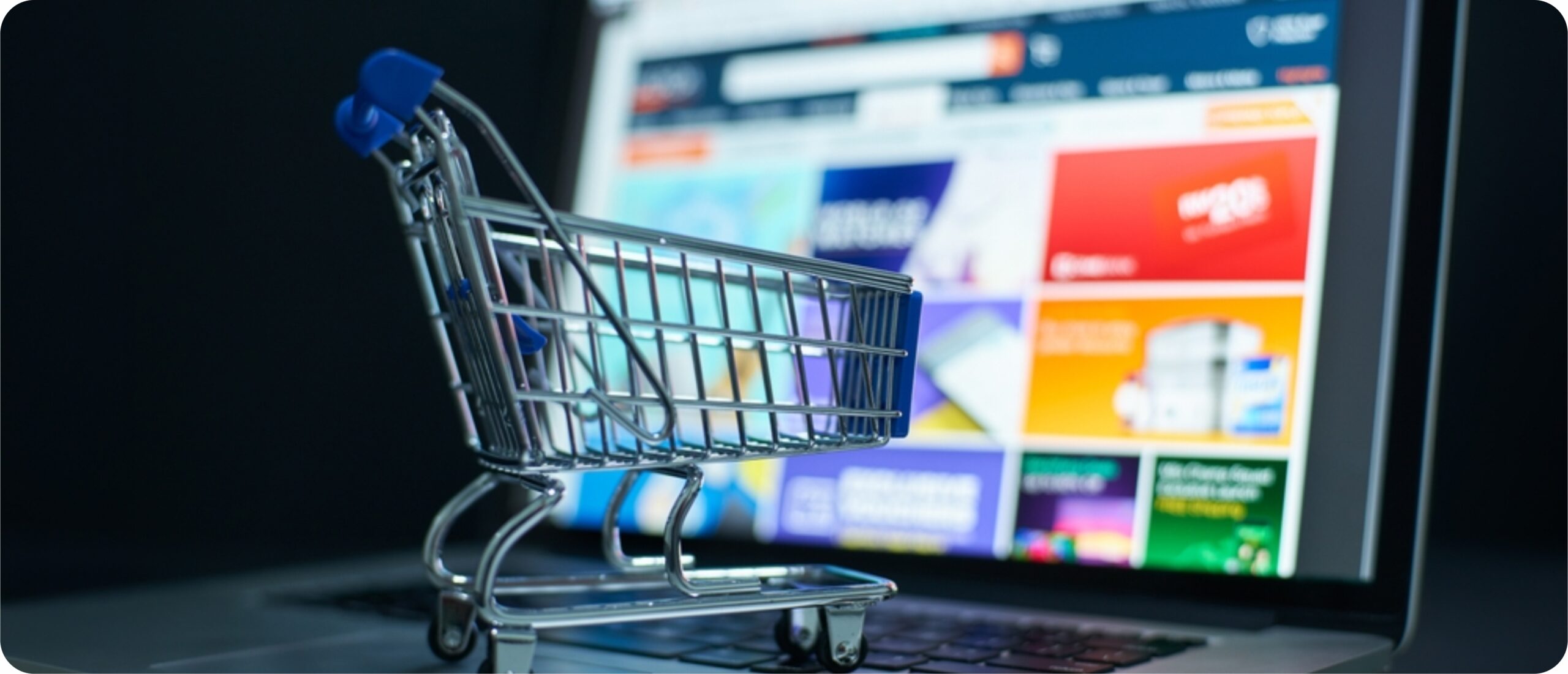 ecommerce website development online store checkout page